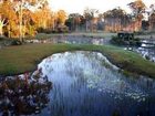 фото отеля Lake Weyba Cottages Noosa