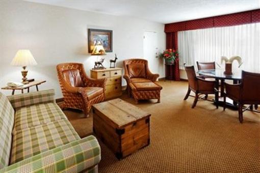 фото отеля Holiday Inn Asheville Biltmore East