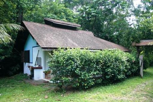 фото отеля Cabinas Wolfsong Cahuita
