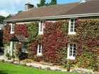 фото отеля Ivy Cottage Port Isaac