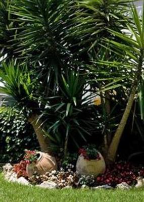 фото отеля Hotel San Felice Capri