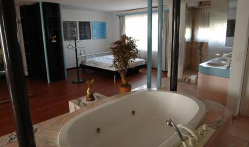 фото отеля Fasan Hotel Emmen (Switzerland)