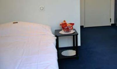 фото отеля Fasan Hotel Emmen (Switzerland)