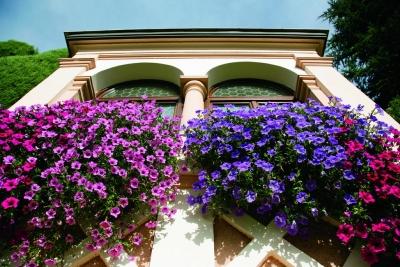 фото отеля Schloss Plars