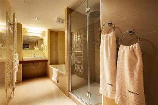 фото отеля Hotel Mineral