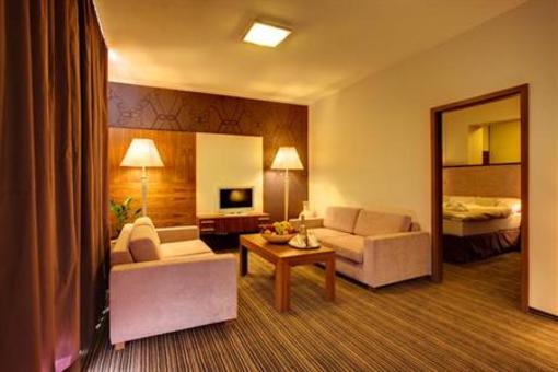 фото отеля Hotel Mineral