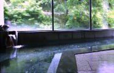 фото отеля Takaragawa Onsen Osenkaku