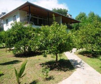фото отеля Cirali Dolunay Hotel
