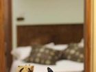 фото отеля Rulai Xinling Inn
