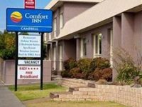 Comfort Inn Campbell
