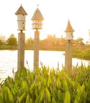фото отеля JW Marriott Orlando Grande Lakes