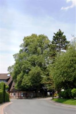 фото отеля Hotel Zum Hackstück Hattingen