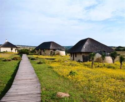 фото отеля Hlosi Game Lodge Amakhala Game Reserve