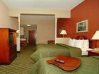 фото отеля Comfort Inn & Suites Jackson (Michigan)