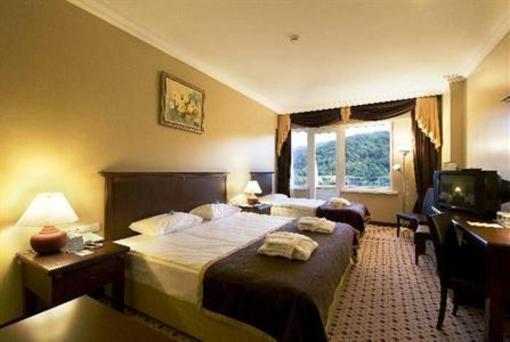 фото отеля Thermalium Wellness Park Hotel Termal