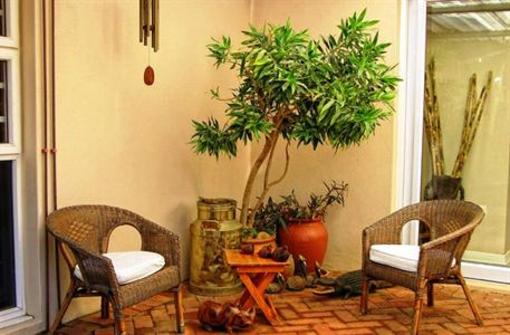 фото отеля African Dreamz Bed & Breakfast Umhlanga
