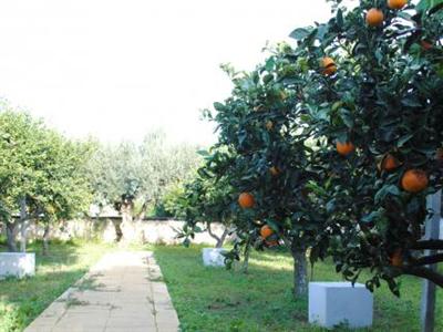 фото отеля Case Vacanze Signorino Hotel Marsala