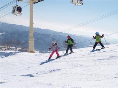 фото отеля Hakuba Tokyu Hotel