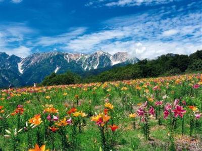 фото отеля Hakuba Tokyu Hotel