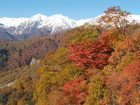 фото отеля Hakuba Tokyu Hotel