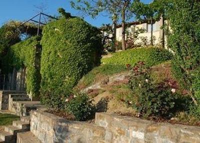 фото отеля Agriturismo Il Pezzatino Rufina