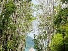 фото отеля The Vijitt Resort Phuket