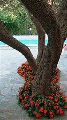 фото отеля Pietracap Hotel Bastia