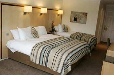 фото отеля Minella Hotel Clonmel