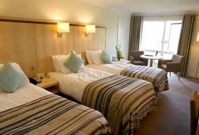 фото отеля Minella Hotel Clonmel
