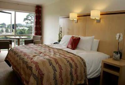 фото отеля Minella Hotel Clonmel