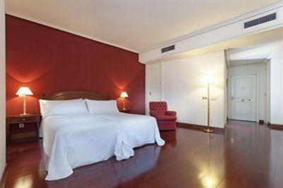 фото отеля Tryp Ambassador