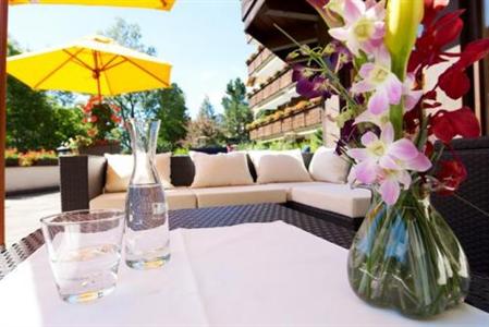фото отеля Alpina Hotel Klosters