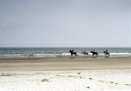 фото отеля Golden Tulip Noordwijk Beach