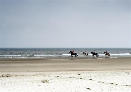 фото отеля Golden Tulip Noordwijk Beach