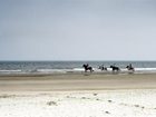 фото отеля Golden Tulip Noordwijk Beach