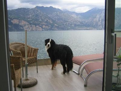 фото отеля Hotel Castello Lake Front Malcesine