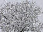 фото отеля Farmhouse Il Noceto Assisi