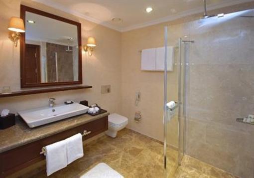 фото отеля Wellborn Luxury Hotel