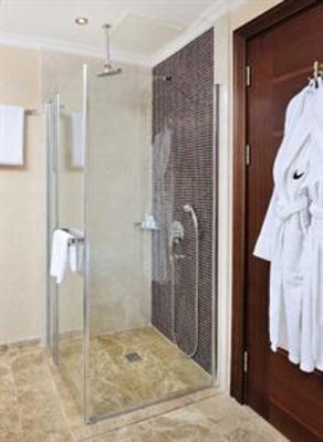 фото отеля Wellborn Luxury Hotel
