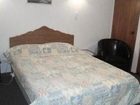 фото отеля Browns Bay Olive Tree Motel & Apartment