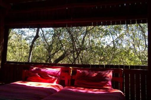 фото отеля The Bush Camp
