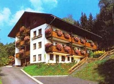 фото отеля Berggasthof Hochstein Hotel