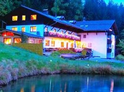 фото отеля Berggasthof Hochstein Hotel