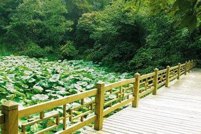 фото отеля Hongzhushan Mountain Hotel Emeishan