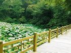 фото отеля Hongzhushan Mountain Hotel Emeishan