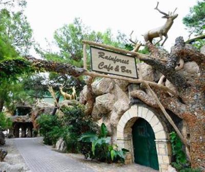 фото отеля Naturland Forest Resort Camyuva