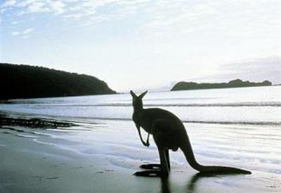 фото отеля Kangaroo Island Seafront Resort