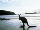 фото отеля Kangaroo Island Seafront Resort