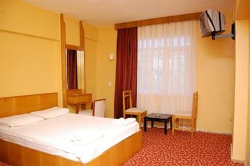 фото отеля Hotel Arteka