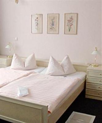 фото отеля Hotel Zur Muhle Riesa